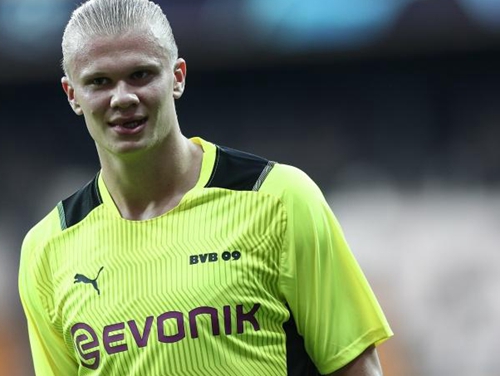 情绪锚点被 情绪锚点被